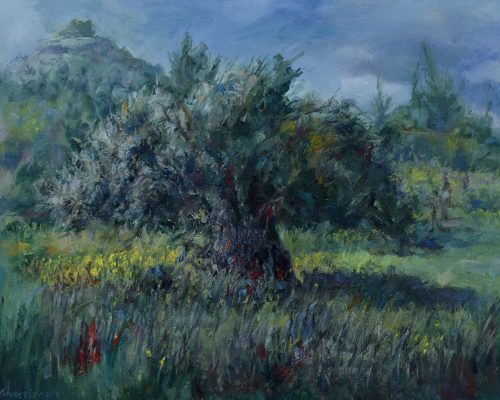 Olive-Tree-at-Mari painting Paskalis Anastasi Diachroniki Gallery
